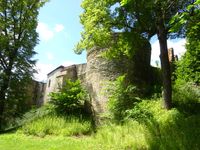 Schlossruine Hartenstein 5